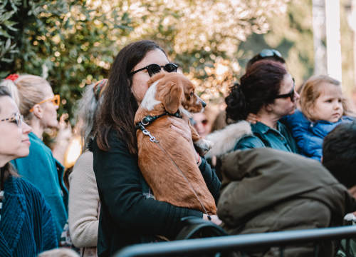 Fotografija 13 - Sve što je lijepo, kratko traje: TBF napunio đardin na zadnjem koncertu Adventure