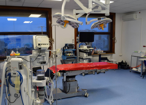 Ogroman uspjeh riječkih liječnika: Na Staru godinu 17 sati presađivali bubreg djevojci s rijetkom srčanom manom