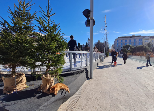 Fotografija 6 - Debeljuškasti mačak ne zna da klizalište na kojem se udomaćio odlazi za par dana: Hrani li ga netko zimi ili mu je potreban novi dom?
