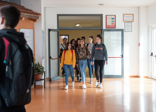 Sve srednje škole u županiji od ponedjeljka imaju normalnu nastavu, a dio osnovnih ide online