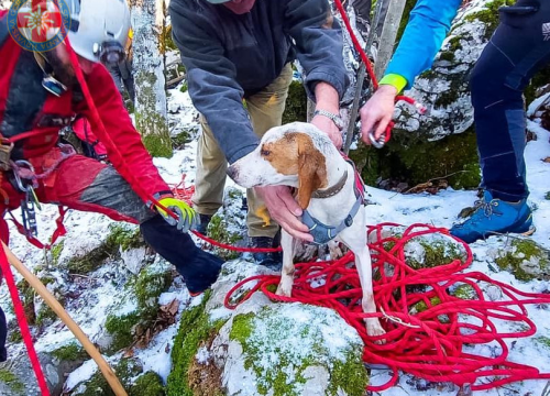 Fotografija 5 - Sretan kraj! Hrvatski GSS-ovci spasili promrzlog i izgladnjelog psića iz jame duboke osam metara