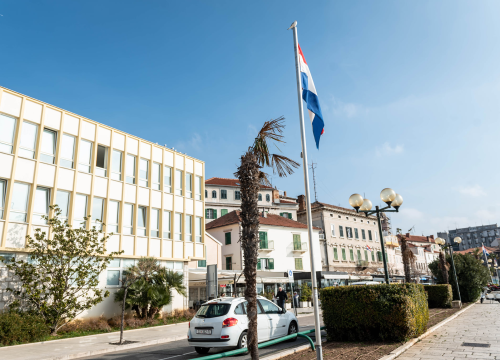 Fotografija 3 - Zeznuti azijski kukac presudio palmama na šibenskoj rivi: Nakon što se postavi nova rasvjeta, stiže dvadesetak novih stabala