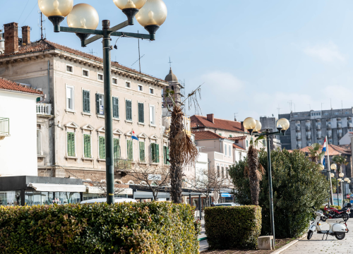 Fotografija 8 - Zeznuti azijski kukac presudio palmama na šibenskoj rivi: Nakon što se postavi nova rasvjeta, stiže dvadesetak novih stabala