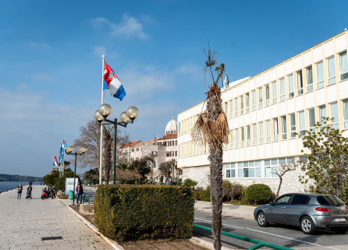 Fotografija 7 - Zeznuti azijski kukac presudio palmama na šibenskoj rivi: Nakon što se postavi nova rasvjeta, stiže dvadesetak novih stabala