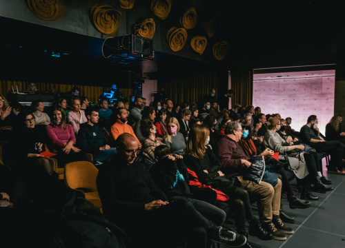 Fotografija 6 - Monodrama napunila 'Arsena': Glumac Dražen Šivak oduševio izvedbom