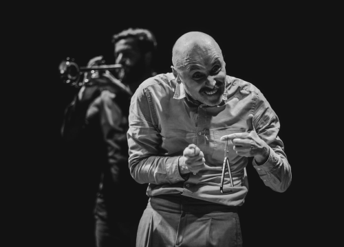 Fotografija 9 - Monodrama napunila 'Arsena': Glumac Dražen Šivak oduševio izvedbom