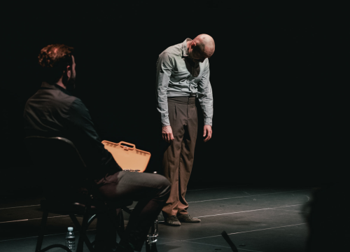 Fotografija 11 - Monodrama napunila 'Arsena': Glumac Dražen Šivak oduševio izvedbom