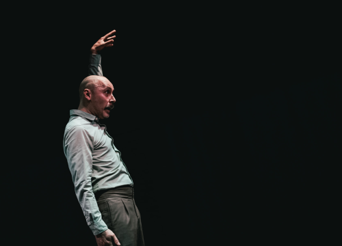 Fotografija 23 - Monodrama napunila 'Arsena': Glumac Dražen Šivak oduševio izvedbom