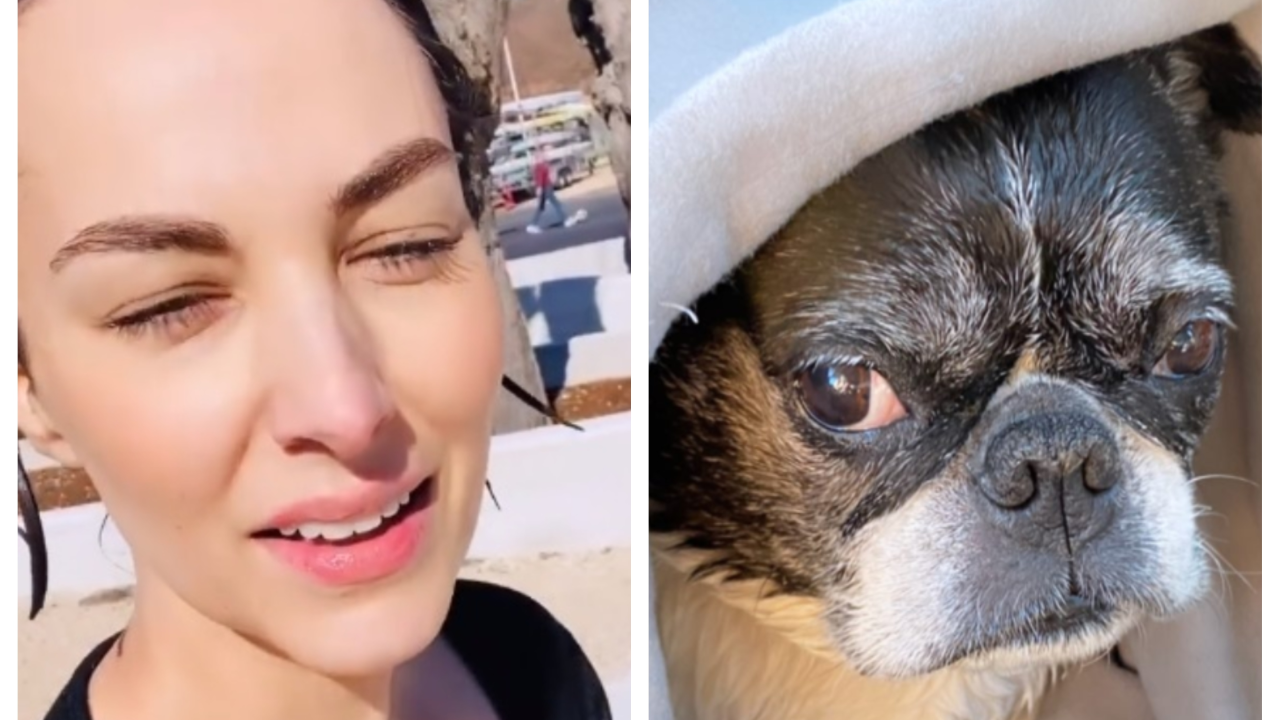 Tatjana Jurić skočila u Krku da spasi kujicu Jackie: 'Mislila sam da će mi srce otkazati'