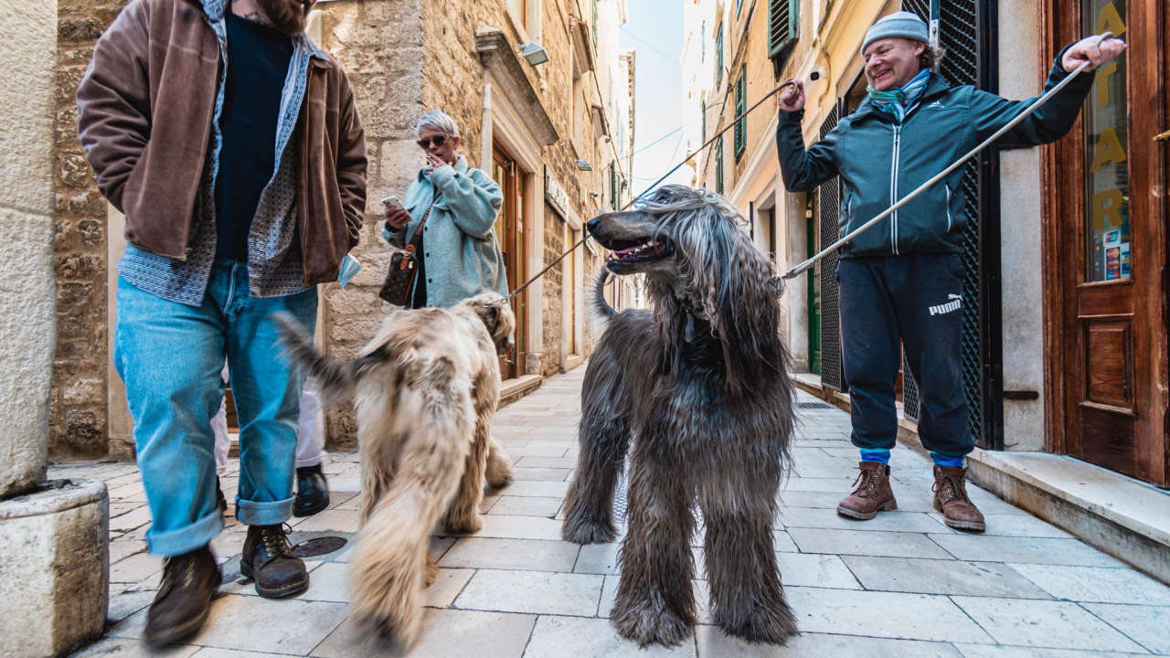 Tri znaka koja su najveći ljubitelji pasa među horoskopskim znakovima