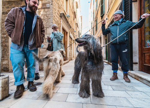 Tri znaka koja su najveći ljubitelji pasa među horoskopskim znakovima