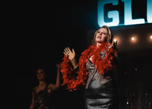 Fotografija 24 - Ženski orkestar do suza nasmijao šibensku publiku, likovi su nam bolno poznati!