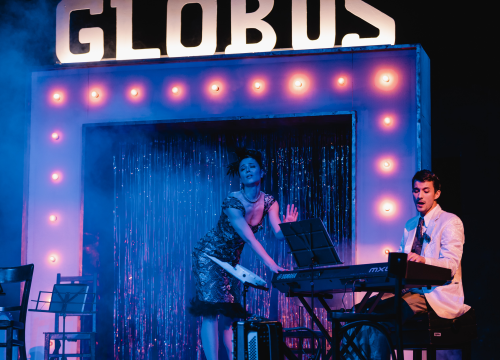 Fotografija 23 - Ženski orkestar do suza nasmijao šibensku publiku, likovi su nam bolno poznati!