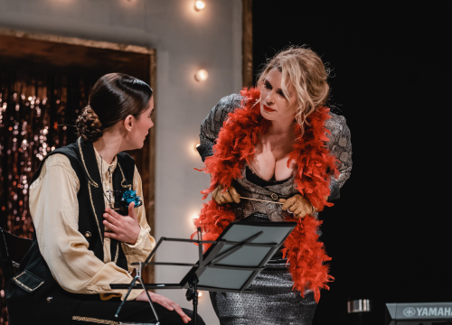 Fotografija 27 - Ženski orkestar do suza nasmijao šibensku publiku, likovi su nam bolno poznati!