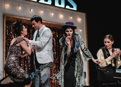 Fotografija 28 - Ženski orkestar do suza nasmijao šibensku publiku, likovi su nam bolno poznati!