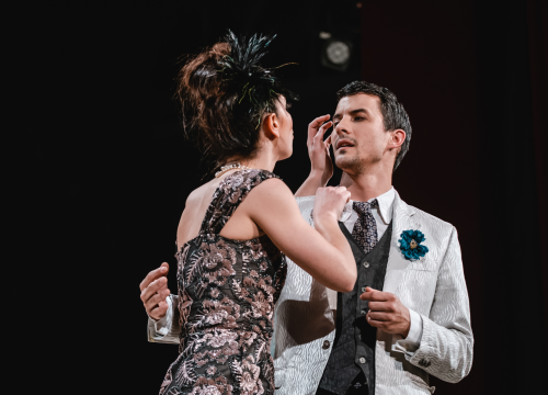 Fotografija 30 - Ženski orkestar do suza nasmijao šibensku publiku, likovi su nam bolno poznati!