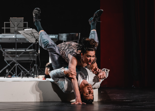 Fotografija 29 - Ženski orkestar do suza nasmijao šibensku publiku, likovi su nam bolno poznati!