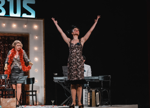 Fotografija 31 - Ženski orkestar do suza nasmijao šibensku publiku, likovi su nam bolno poznati!