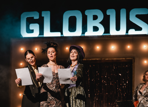 Fotografija 33 - Ženski orkestar do suza nasmijao šibensku publiku, likovi su nam bolno poznati!