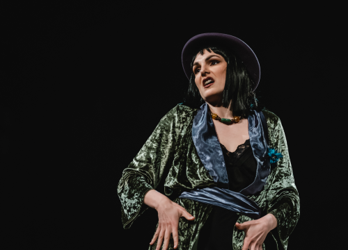 Fotografija 34 - Ženski orkestar do suza nasmijao šibensku publiku, likovi su nam bolno poznati!