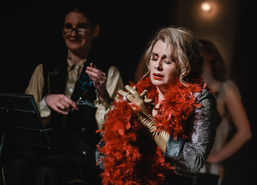 Fotografija 35 - Ženski orkestar do suza nasmijao šibensku publiku, likovi su nam bolno poznati!