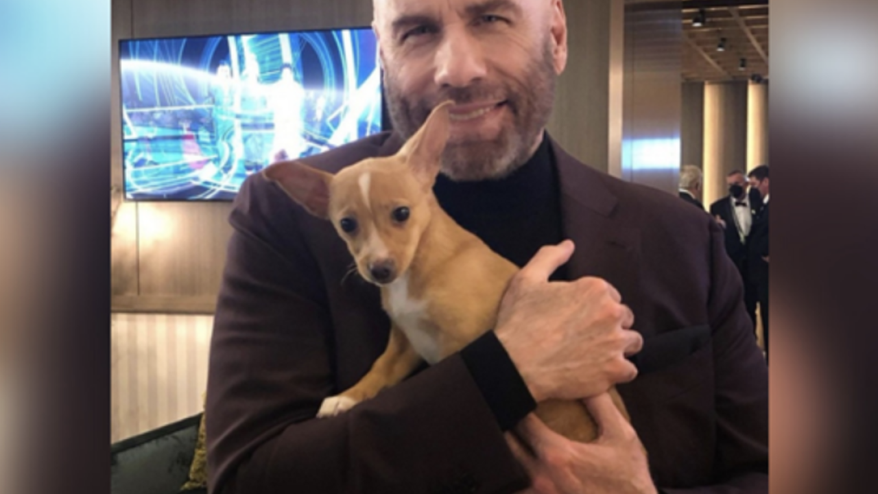 Slatki psić 'upao' na dodjelu Oscara, udomio ga je John Travolta