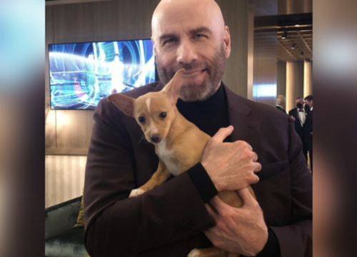 Slatki psić 'upao' na dodjelu Oscara, udomio ga je John Travolta