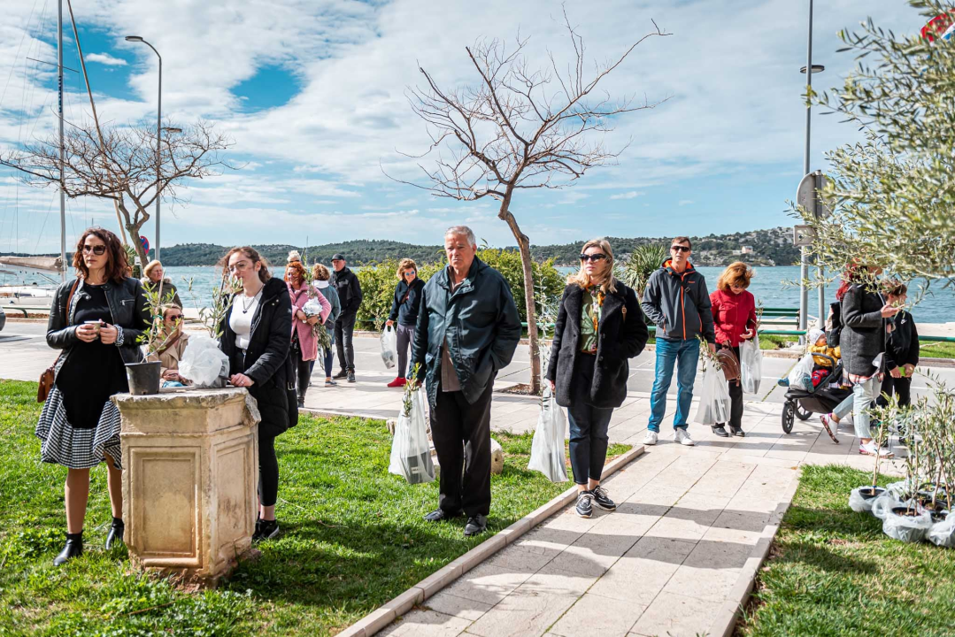 Podjelom sadnica masline i čitanjem poezije na šibenskoj rivi obilježen 100. rođendan Vesne Parun
