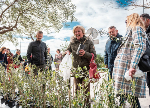 Fotografija 4 - Podjelom sadnica masline i čitanjem poezije na šibenskoj rivi obilježen 100. rođendan Vesne Parun