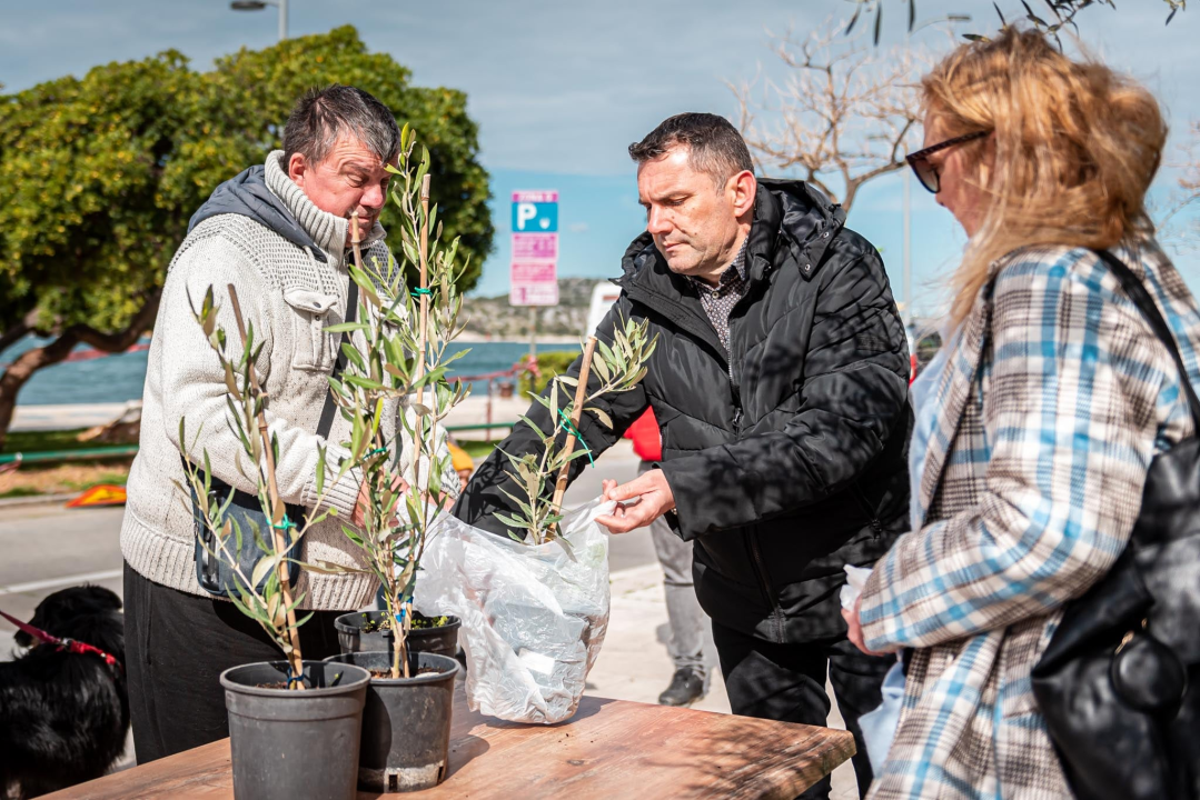 Podjelom sadnica masline i čitanjem poezije na šibenskoj rivi obilježen 100. rođendan Vesne Parun