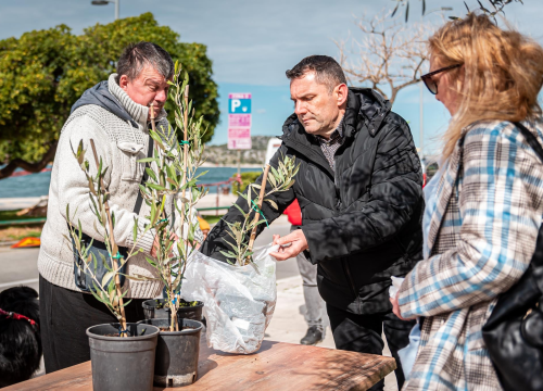 Fotografija 8 - Podjelom sadnica masline i čitanjem poezije na šibenskoj rivi obilježen 100. rođendan Vesne Parun