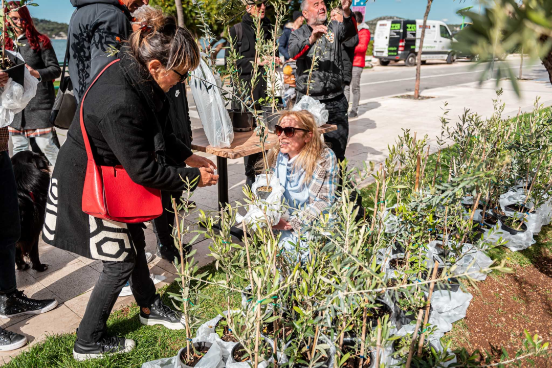 Podjelom sadnica masline i čitanjem poezije na šibenskoj rivi obilježen 100. rođendan Vesne Parun