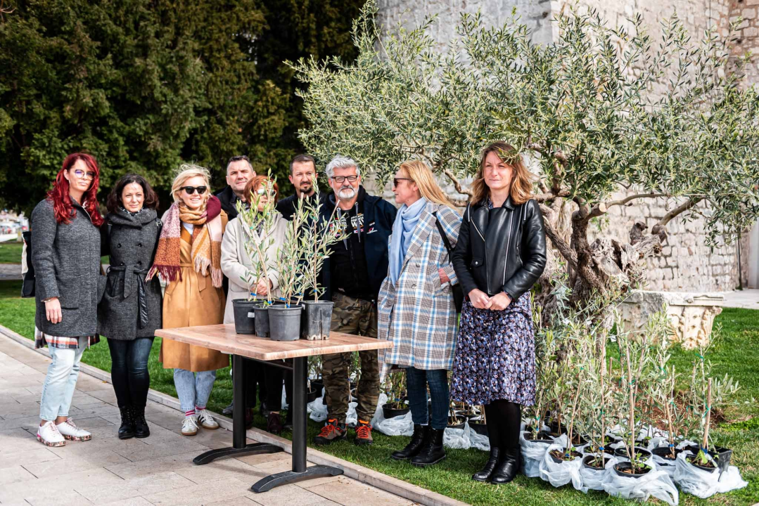 Podjelom sadnica masline i čitanjem poezije na šibenskoj rivi obilježen 100. rođendan Vesne Parun