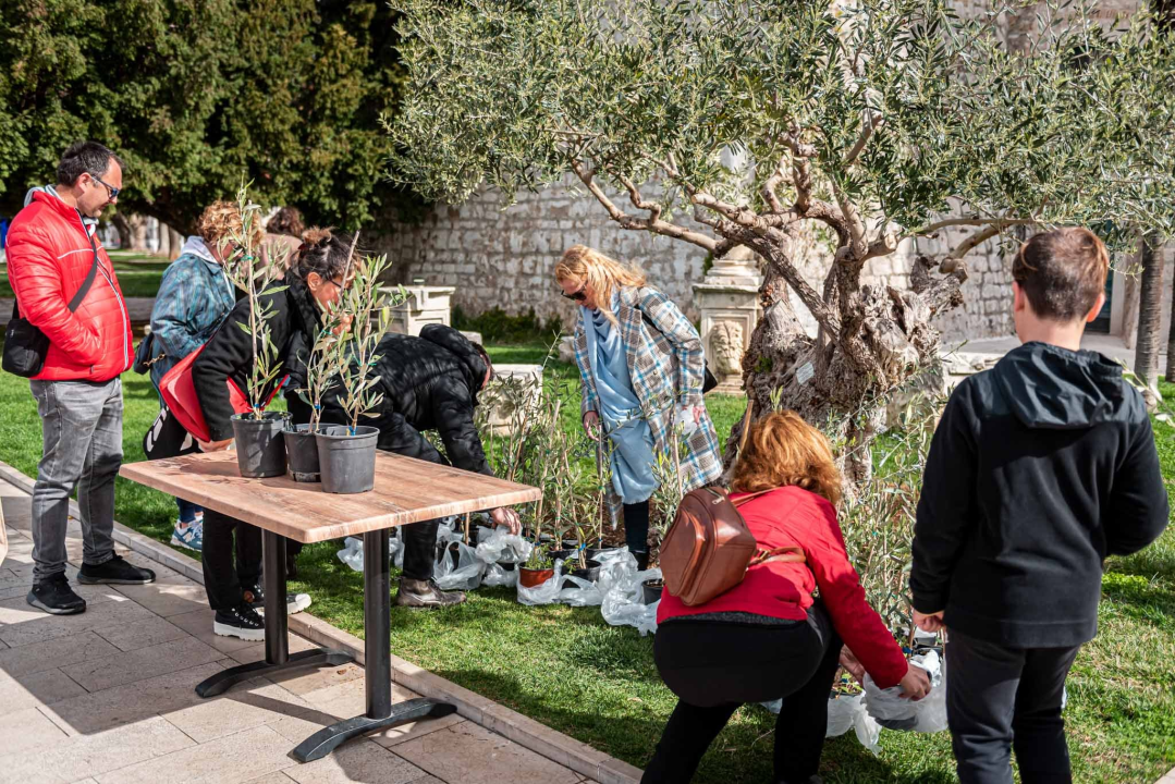 Podjelom sadnica masline i čitanjem poezije na šibenskoj rivi obilježen 100. rođendan Vesne Parun