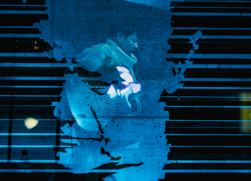 Fotografija 18 - Spektakularne slike na pozornici Arsena: 'Boginja gitare' Kaki King u Šibeniku doslovno obojala zvuk!