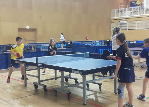 Fotografija 5 - Veliki uspjeh Stolnoteniskog kluba Šibenik i Anđele Živković na Prvenstvu Hrvatske