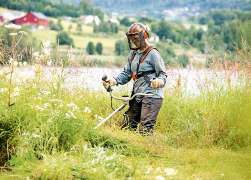 Fotografija 5 - Iskoristite proljetnu akciju STIHL trimera u trgovinama PORAT!