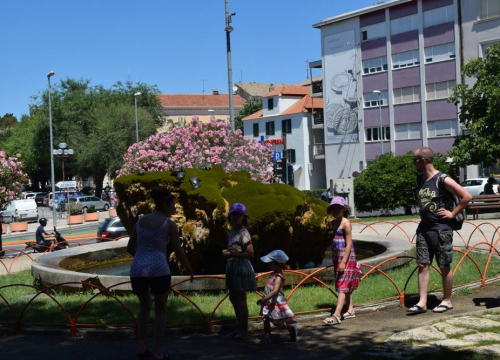Fotografija 2 - Kako je sedra narasla više od tri metra: Fotografije posljednjih šest godina pokazuju zašto joj treba spas