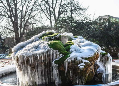 Fotografija 4 - Kako je sedra narasla više od tri metra: Fotografije posljednjih šest godina pokazuju zašto joj treba spas