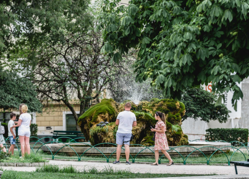 Fotografija 5 - Kako je sedra narasla više od tri metra: Fotografije posljednjih šest godina pokazuju zašto joj treba spas
