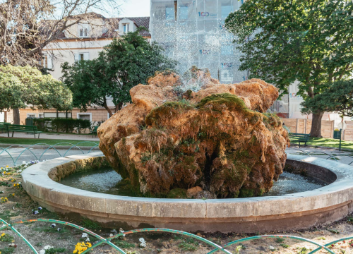 Fotografija 13 - Kako je sedra narasla više od tri metra: Fotografije posljednjih šest godina pokazuju zašto joj treba spas