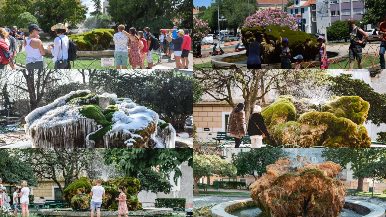 Kako je sedra narasla više od tri metra: Fotografije posljednjih šest godina pokazuju zašto joj treba spas