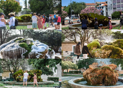 Kako je sedra narasla više od tri metra: Fotografije posljednjih šest godina pokazuju zašto joj treba spas