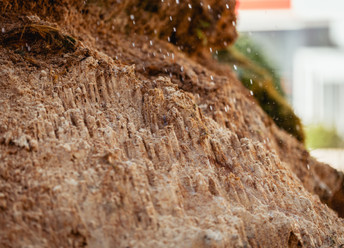 Fotografija 9 - Kako je sedra narasla više od tri metra: Fotografije posljednjih šest godina pokazuju zašto joj treba spas