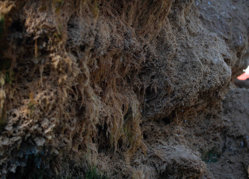 Fotografija 11 - Kako je sedra narasla više od tri metra: Fotografije posljednjih šest godina pokazuju zašto joj treba spas