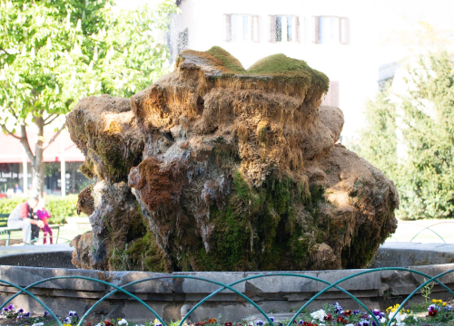 Fotografija 12 - Kako je sedra narasla više od tri metra: Fotografije posljednjih šest godina pokazuju zašto joj treba spas