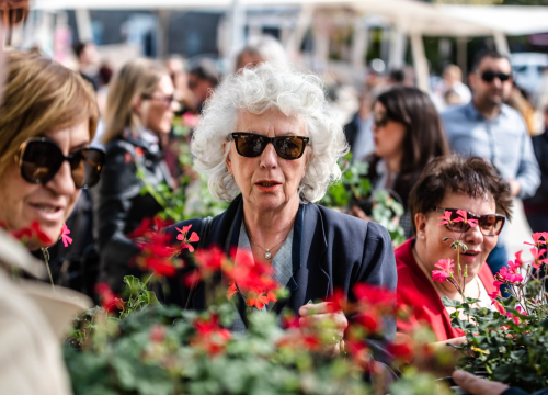 Fotografija 2 - Preko 2000 cvjetnih sadnica podijeljeno na Poljani dok si rekao 'điran'