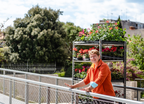 Fotografija 7 - Preko 2000 cvjetnih sadnica podijeljeno na Poljani dok si rekao 'điran'