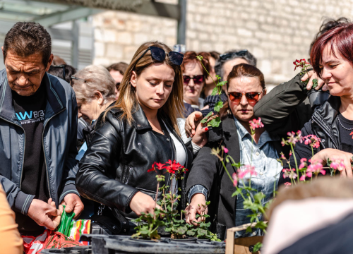 Preko 2000 cvjetnih sadnica podijeljeno na Poljani dok si rekao 'điran'
