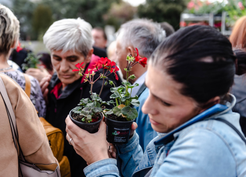 Fotografija 10 - Preko 2000 cvjetnih sadnica podijeljeno na Poljani dok si rekao 'điran'